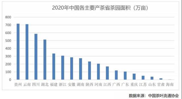 走不出去的中国茶，差在哪里了？