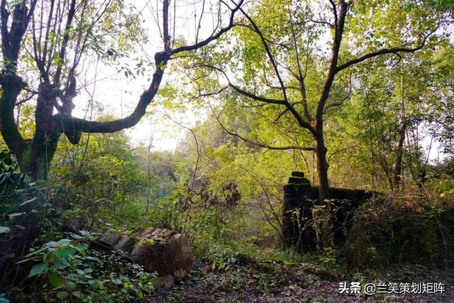 合肥水泥机械展