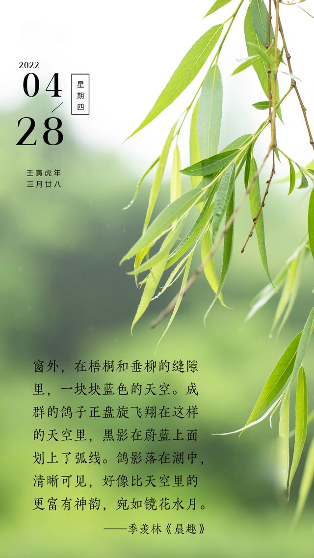 早安心语正能量图片文字，只有拼搏，才会获得辉煌的成功