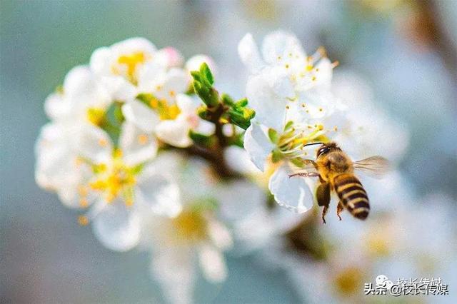 没有天生的熊孩子，只有教育缺位的父母