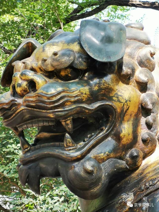 暢觀樓前的一對銅獸 百年前竟然能噴水