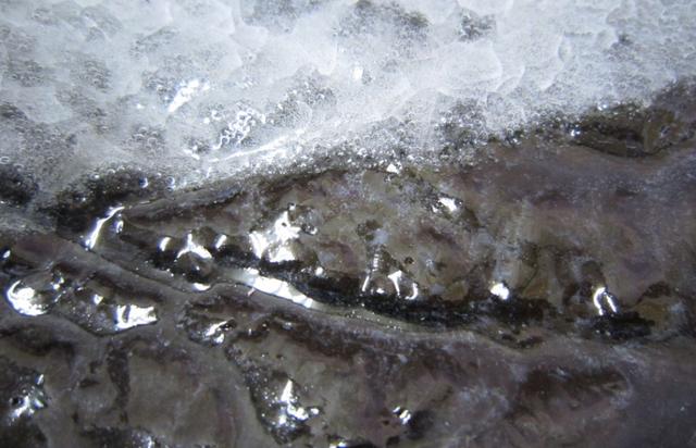 石油是古生物形成的？一个油田上亿吨石油，有那么多古代生物吗？