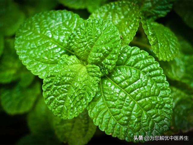 宝宝厌食，家长烦恼