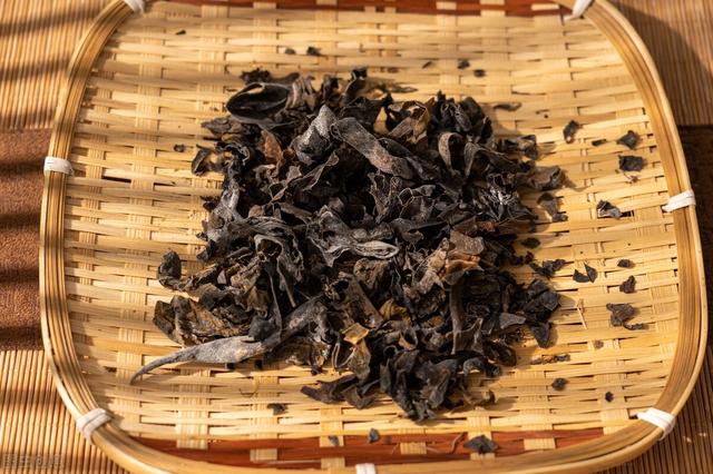 痰湿百病生！为什么说结节与“痰湿”有关，老中医讲述结节的本质