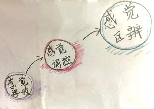 多动症孩子的母亲拆盲盒（一）感统前，必须用三步理解"感觉处理"