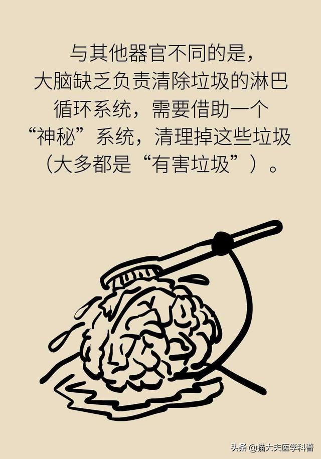 睡眠日丨睡不好的后果远比你想得更严重，你可能会变傻