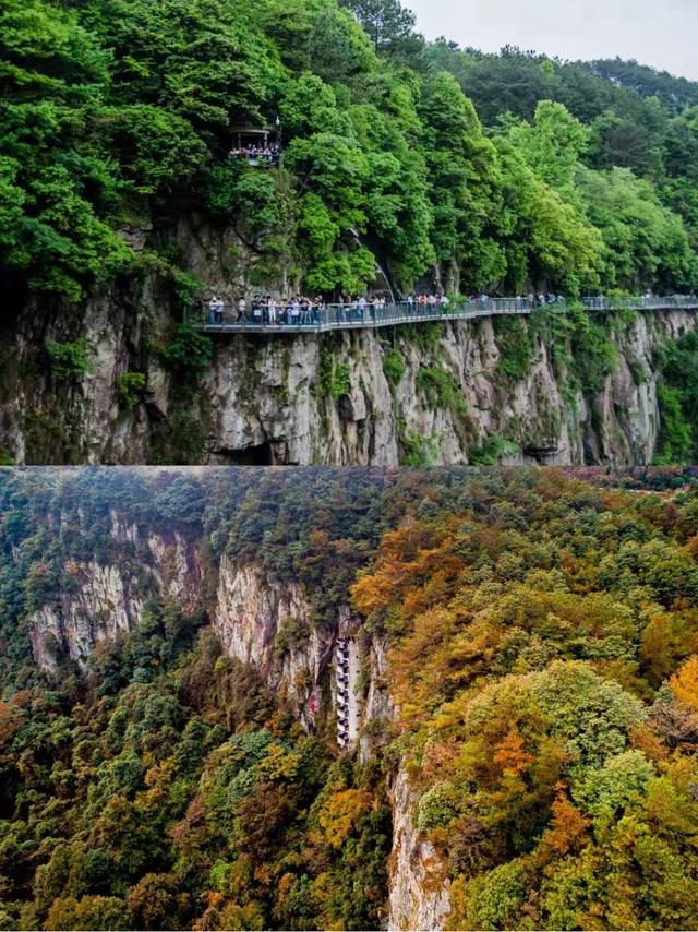 甯波冬季出遊攻略，這三處撩動心弦的美麗風景，疫情過後一起去看