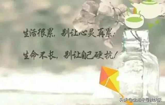 生命毒刺 (句句入骨)
