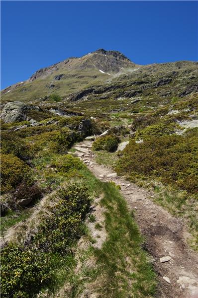 跟着父亲上北山