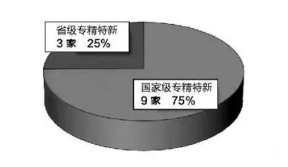 山东大型二手自动冲洗压滤机