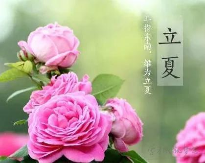 立夏祝福语唯美句子，文案配图