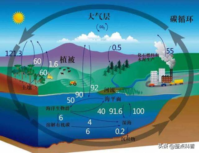 地球要大降温？南大洋正在疯狂吸碳，年吸碳量约比释放多5.3亿吨