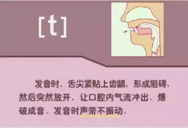 英语老师直言：掌握好这些音标知识，孩子轻松学会英语发音