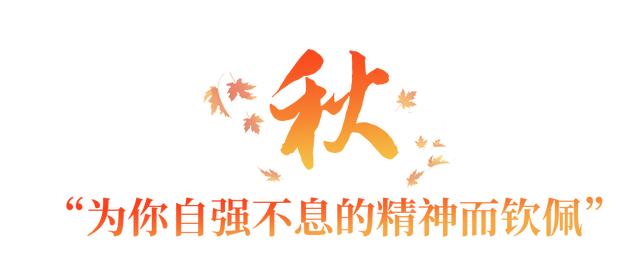 学习故事会丨深情满四季，关怀暖人心