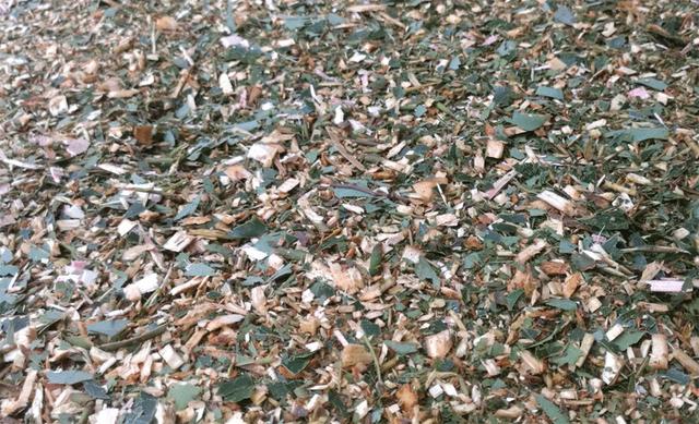 成都树技树叶破碎机