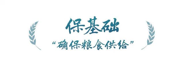 春事看农桑 |“大食物观”托起“舌尖幸福”