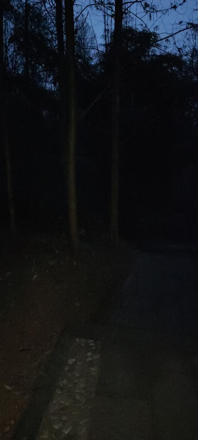 一不小心又成了夜遊~周末街子古鎮康道徒步到光嚴禅院~腳都走麻了
