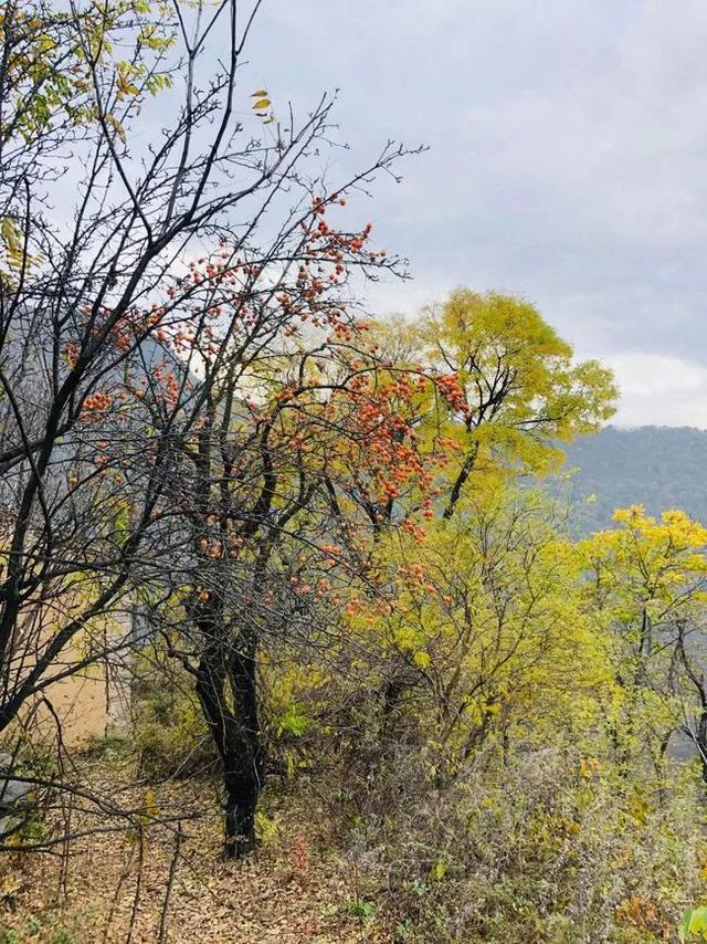 高山之上，秦嶺終南山有個原本熱鬧的空中村落，也許即將永遠消亡