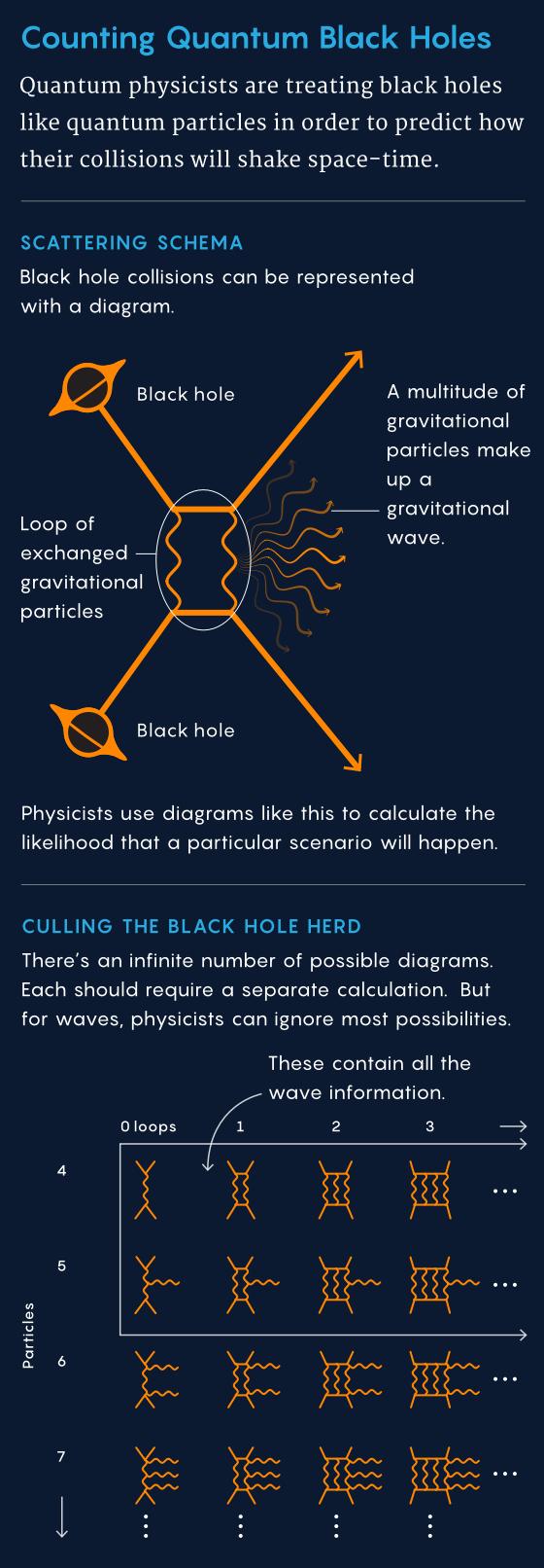 黑洞 = 量子粒子？