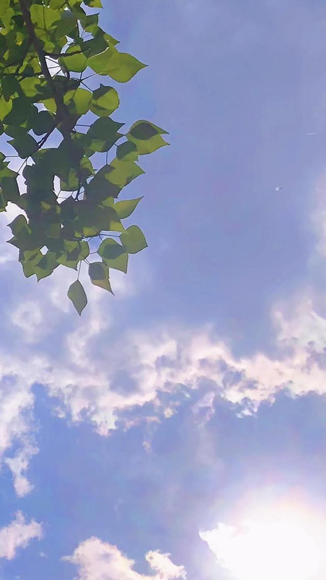 蓝色天空白云飘飘
