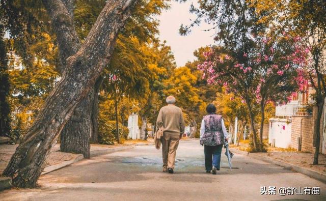 你终究会明白，晚年缺少这3样东西，连老天都会“落井下石”