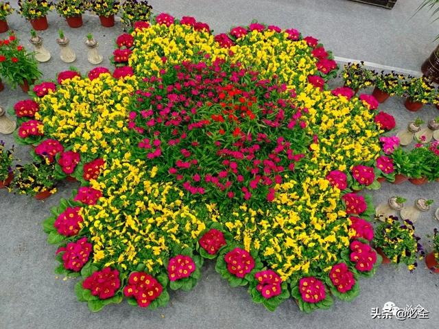 值得参加的园林机械展
