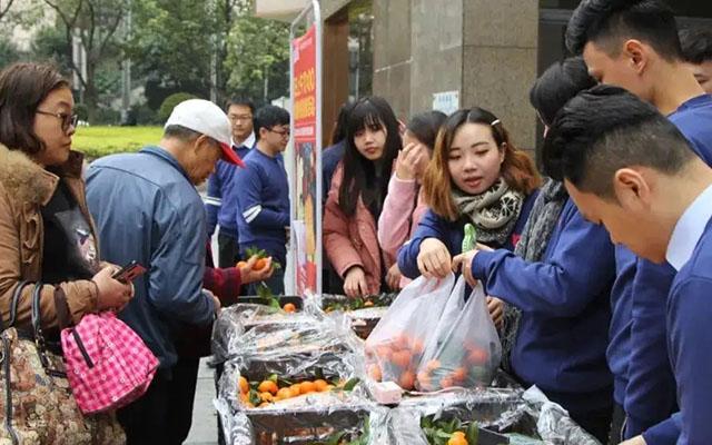 突发！行业“巨头”倒下