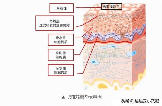 住宿怎么擦身体乳