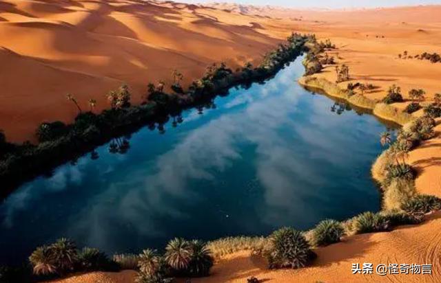 地球上最大的沙漠原来是一片绿洲？科学家挖出天外陨石、化石