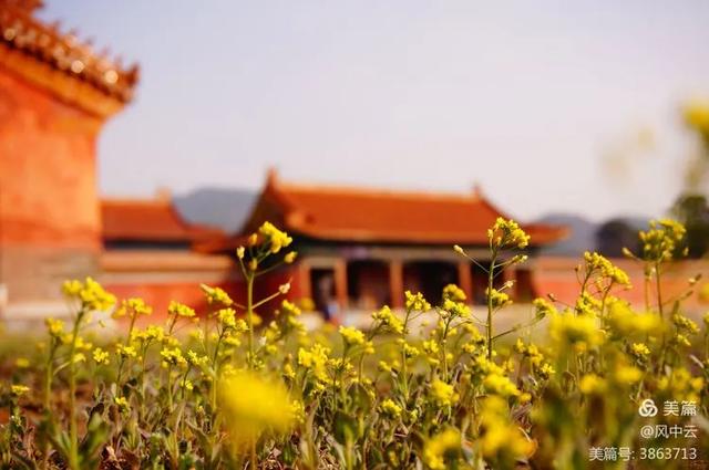 十美清東陵，您見過嗎？