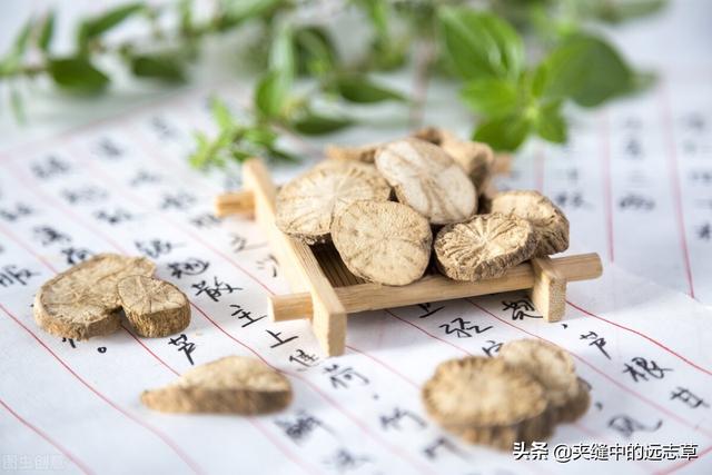 身困体乏湿气重？讲一味薏苡仁，健脾祛湿，给你的身体祛祛湿