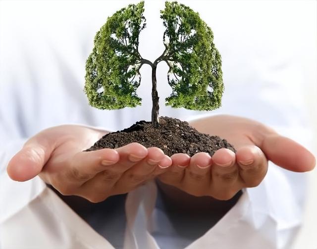 每天吃一个鸡蛋对肺有什么影响？若想肺部健康，这3件事要坚持