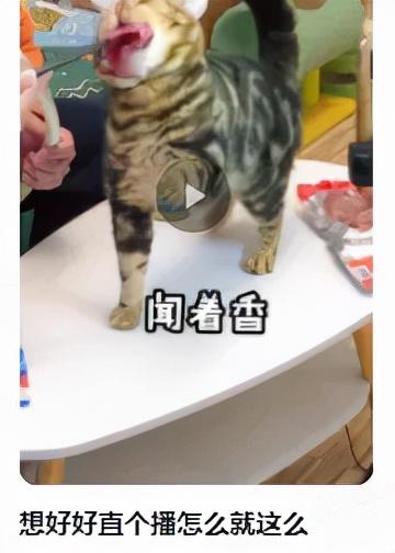 营销策略洞察:美妆行业八大人群内容偏好详解(上)