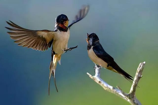 头皮发麻鸡皮疙瘩