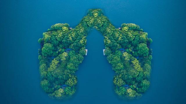 养肺护肺记住“四避五养”