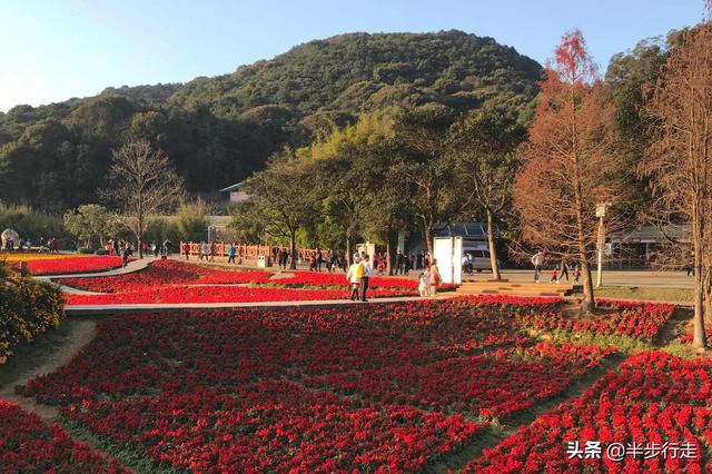 石门国家森林公园