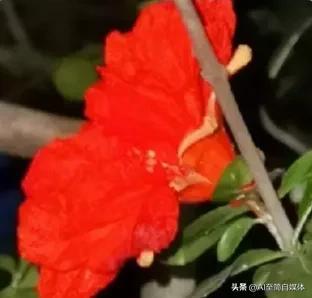献给那些心地善良，总爱帮助别人的人