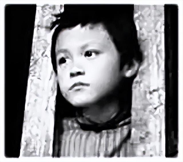 1949年，徐林侠哭着对特务说：放了小萝卜头吧，就让他讨饭去吧