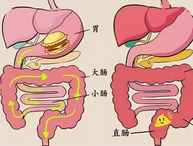 51岁养生大师离世，深刻反思：这5种“养生”法不可取