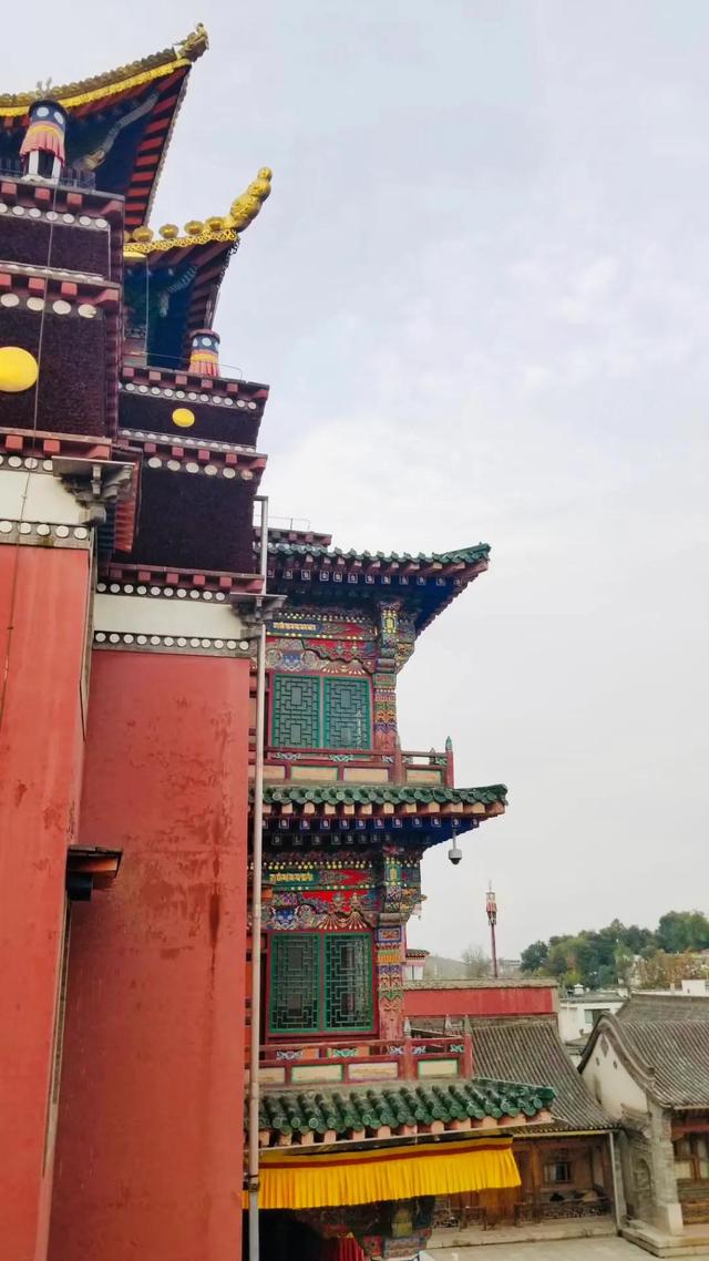 神奇的塔爾寺