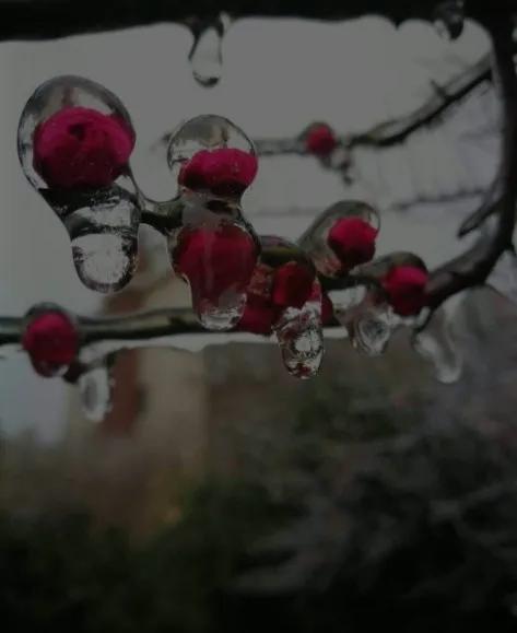 孩子的教育，更重要感恩