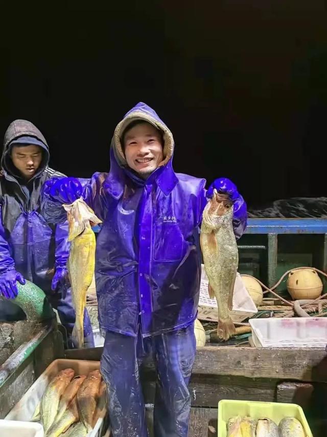 又有渔民捕到大黄鱼！1条卖出4.2万天价，濒危的大黄鱼泛滥了吗？