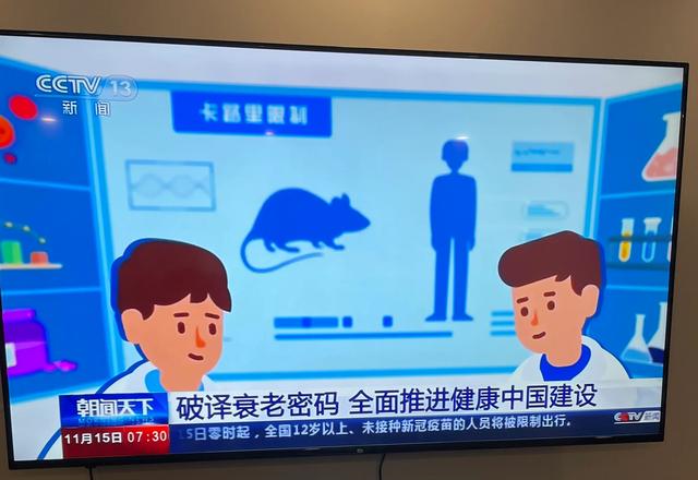 限制卡路里摄入，有效降低炎症、延缓衰老