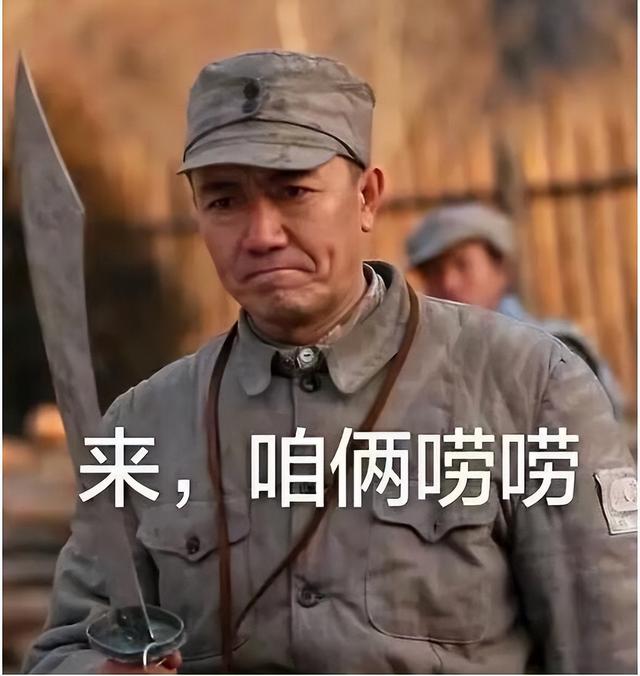 《亮剑》爆红之谜，撞四个风口，DVD、互联网、鬼畜全赶上了