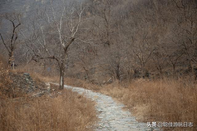 北京徒步登山：房山金祖山小環穿，九龍山登山步道，半景區半野路
