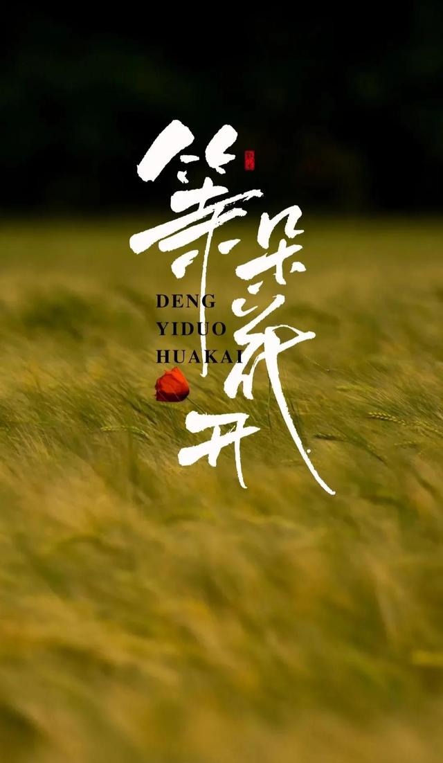 不因家境贫寒而甘于落后，人生起点虽苦，但终点永远有希望