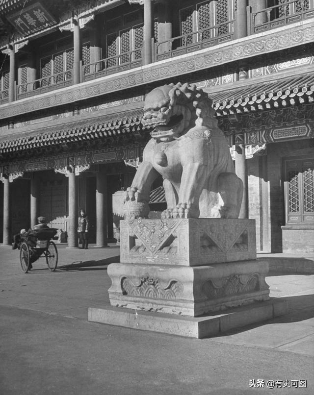 1946年的紫禁城外停滿了汽車，太和殿上放著袁世凱的西洋寶座