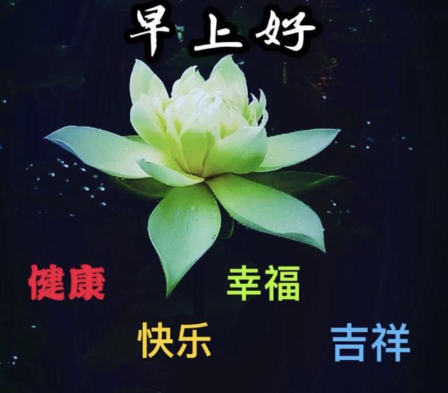 周三清晨最暖心的早上好祝福简短语句 祝福问候天天到 日日好心情