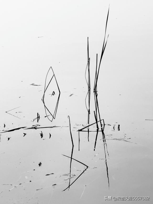 冬日秋韻龍子湖