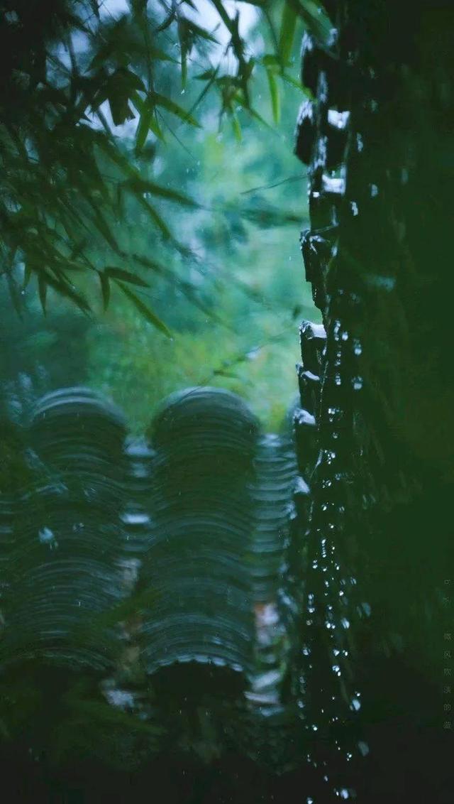 初夏的细雨